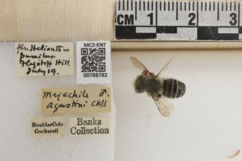 Media type: image;   Entomology 788782 Aspect: Labels